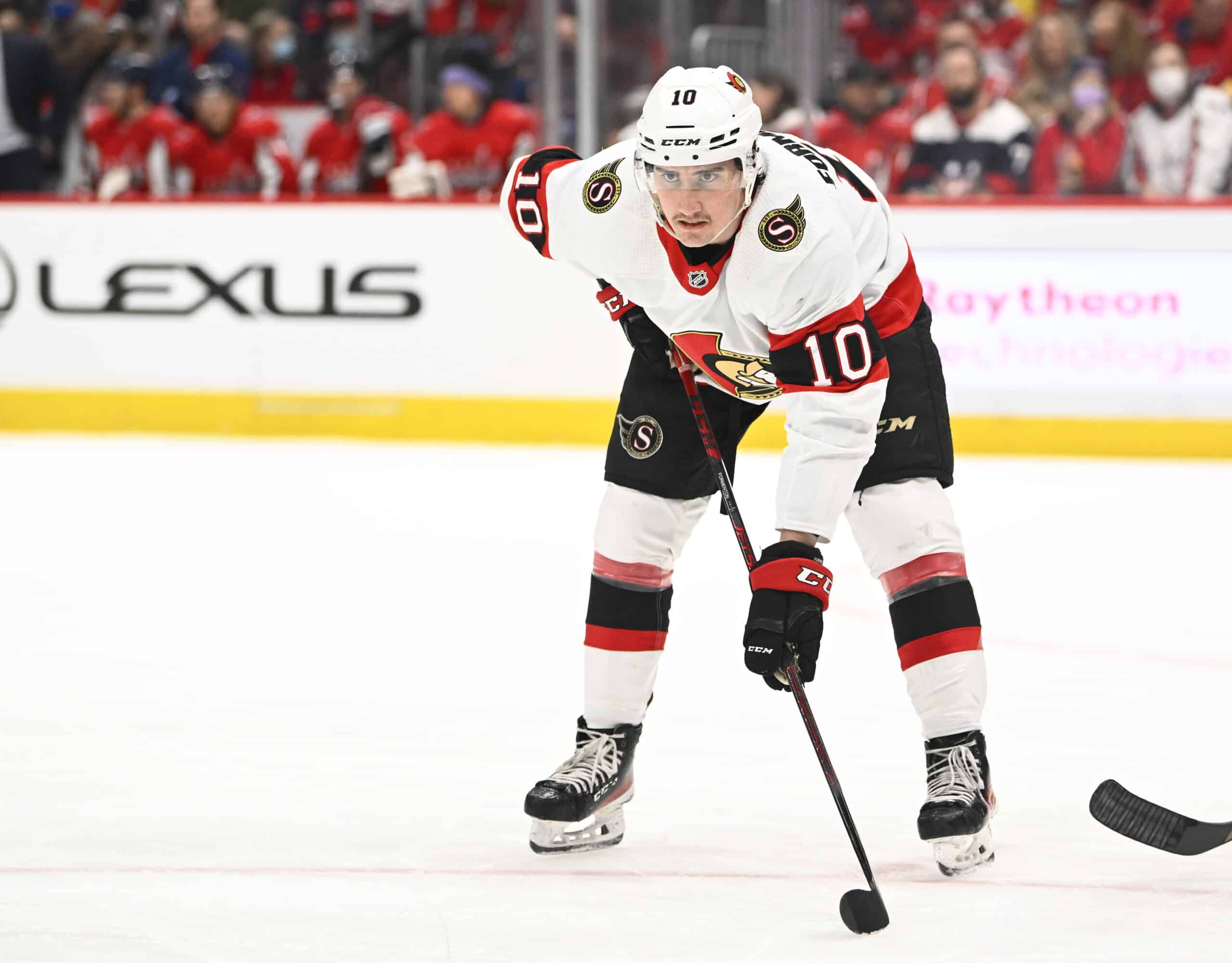 Feb 13, 2022; Washington, District of Columbia, USA; Ottawa Senators left wing Alex Formenton (10) on the ice against the Washington Capitals during the first period at Capital One Arena. Mandatory Credit: Brad Mills-USA TODAY Sports