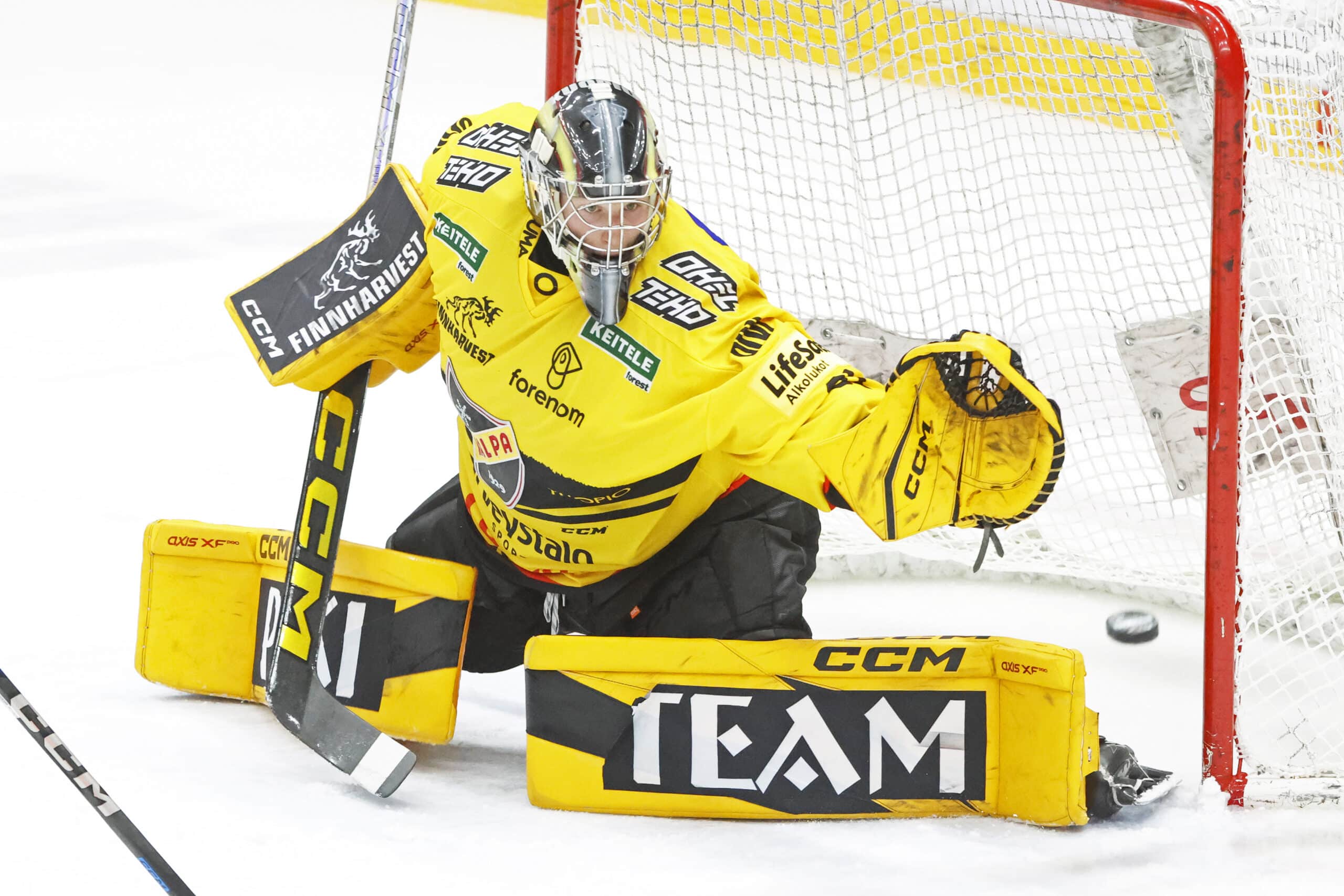 Jääkiekon U18 MM-kisat 2025 järjestetään Yhdysvalloissa, Friscossa ja Allenissa, 23.4.–3.5. Patrik Kerkola on yksi Pikkuleijonien maalivahdeista.